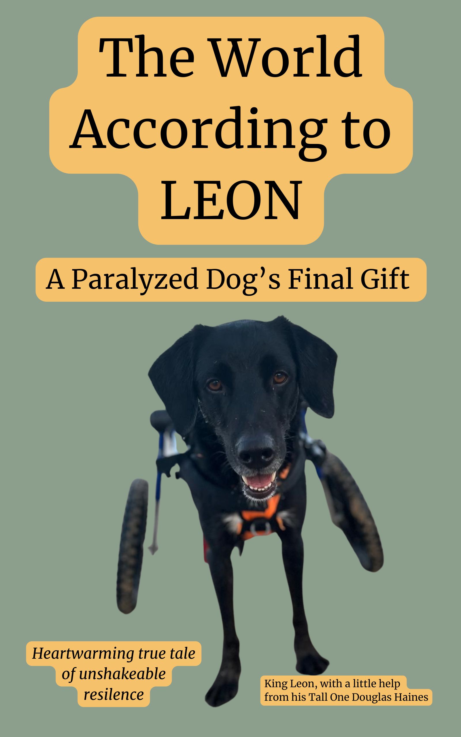 Leon, a black rescue dog with an orange harness, smiles at the camera from his wheelchair cart against a soft green background. The image includes the book title 'The World According to Leon: A Paralyzed Dog's Final Gift' and tagline 'Heartwarming true tale of unshakeable resilience' from author Douglas Haines.